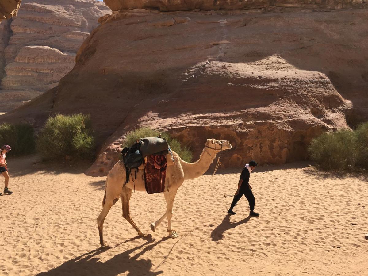 וואדי רם Jamal Rum Desert מראה חיצוני תמונה